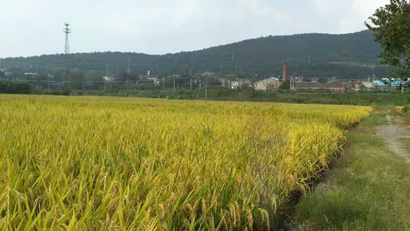 安徽徽商農(nóng)業(yè)科技發(fā)展有限公司