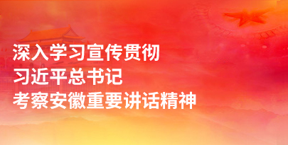 學(xué)習(xí)貫徹習(xí)近平總書(shū)記考察安徽重要講話(huà)精神